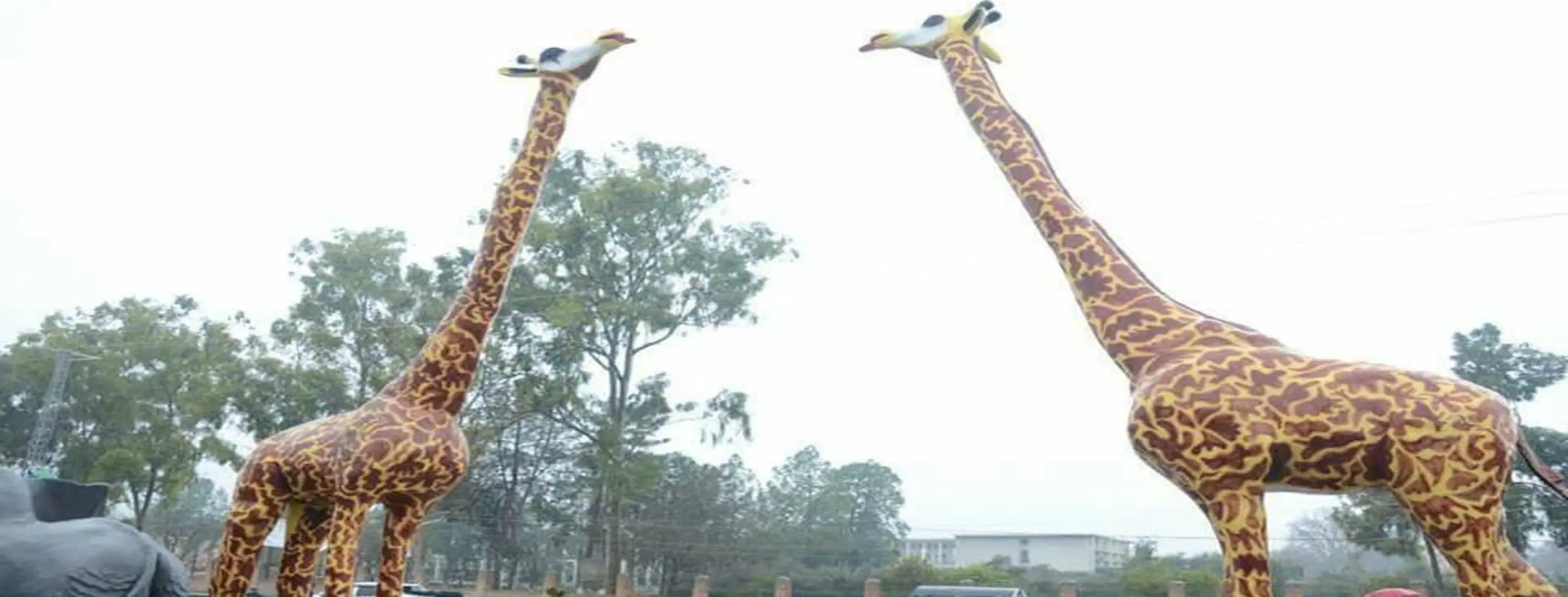 Image for Peshawar Zoo Visit